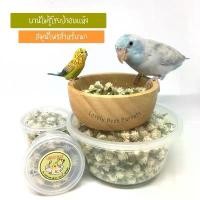 ราคา บานไม่รู้โรยป่า ดอกบานไม่รู้โรยป่าอบแห้ง ถุง 1000 ดอก++ อาหารเสริมสมุนไพรสำหรับนก สมุนไพรสำหรับนก อาหารนก (1732087462375557077)