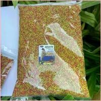 ราคา อาหารนก FruitBlend(เม็ดไซส์S)ซูพรีม อาหารนก ผลไม้อัดเม็ดแบ่งขาย นำเข้าจากอเมริกา อาหารผลไม้ อัดเม็ดสำเร็จรูป Size S ผลไม้อัดเม็ด แบ่งขาย (1732286309828429611)