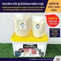 ราคา Nutribird A19 อาหารลูกป้อนนก สูตรไขมันและพลังงานสูง อาหารนก (แบ่งขาย 100G / 200G / 500G) ข้าวฟ่าง (1732469219602957540)