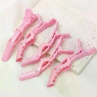 ราคา กิ๊บติดผม สีชมพูน่ารัก ชุด 5 ชิ้น กิ๊บติดผมจระเข้มืออาชีพ กิ๊บติดผม อุปกรณ์จัดแต่งทรงผม ส้อมยกโคนผม (1730748194824358244)