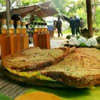 ราคา น้ำผึ้ง 4ขวด น้ำผึ้งป่าเดือน5 (1730816002482670459)