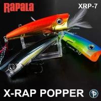 ราคา เหยื่อ Rapala X-RAP POPPER สำหรับตกปลา แท่ง แยง โม รอกตกปลา หน้า ดิน กราคา ประหยัด บัชเบท blackmamba ตะกร้อ เปล่า จีน อาชิโน เหยื่อปลอม ตกปลาช่อน เอ็น ปลา กระชัง ใส่ แบบ (1732025286194267959)
