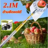 ราคา CODไม้สอยผลไม้ ตะกร้อสอยผลไม้ ที่สอยมะม่วง ไม้สอย ทีเก็บผลไม้ ปรับ ยืด หด ได้ยาว 2.1 เมตร พร้อมชุด ตะกร้อ ตะขอ มีดขอ งานดี ใช้งานง่ายTikTok (1731418410293495734)