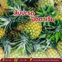 ราคา สับปะรด ปัตตาเวีย(สดส่งตรงจากสวน) ลูกใหญ่คัดพิเศษ (1729624668626455369)