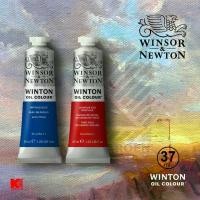 ราคา สีน้ำมัน Winsor & Newton Winton หลอด 37 มล.tamiya enamel panel panel line accent color (1731165095448316692)