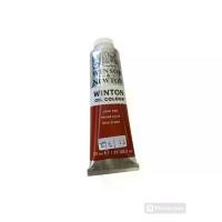 ราคา สีน้ำมัน Winton (Winsor & Newton) ขนาด 37 ml จัดส่งเฉพาะจุด (1732239497634154343)