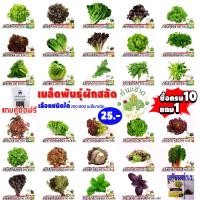 ราคา ทำฟาร์ม Chard [10 แถม 1 ฟรีรับคู่มือ] ️200-800 เมล็ด, เมล็ดสำหรับสลัดผักใบเขียว, โอ๊คสีเขียว, Malabar ผักโขม, เนย, สลัดผสม, Swiss Chard, Fillet, กะหล่ำปลีขนาดเล็ก, กะหล่ำปลีปะการ (1732717462155593630)