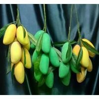 ราคา โมเดลผักผลไม้ประดิษฐ์ มะม่วง ทั้งดิบและสุก บรรจุภัณฑ์จำนวนมาก (1731193890463582442)