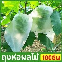 ราคา ถุงห่อผลไม้ 100pcs ถุงห่อฝรั่ง มะม่วง องุ่น และอื่นๆ ปกป้องต้นไม้ผลไม้ของคุณ (1731764338017929586)