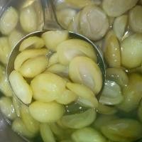 ราคา มะม่วง เบา ใต้ แช่อิ่ม .เปรี้ยว หวาน อร่อยมาก (1729588843939989794)