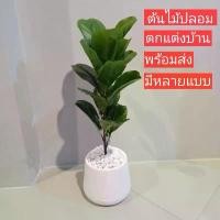 ราคา ต้นไม้ปลอม ไทรใบสัก ต้นไม้ประดับบ้าน (1732303889246291581)