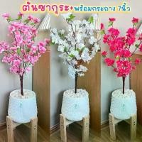 ราคา 【จัดส่งทันที】 ต้นซากุระ ต้นซากุระขาว พร้อมกระถาง7นิ้ว ต้นไม้ปลอม (1732695736166090046)