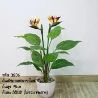 ราคา พร้อมส่ง ต้นไม้ปลอม ต้นเบิร์ดออฟพาราไดซ์ 75 ซม.(ไม่รวมกระถาง) คําแนะนําการขายที่ร้อนแรงในเดือนนี้ (1732253381343937849)