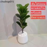 ราคา ต้นไม้ปลอม ไทรใบสัก ต้นไม้ประดับบ้าน (1732350054466356700)