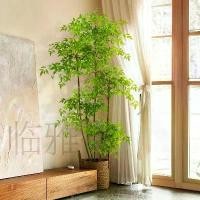 ราคา พืชสีเขียวประดิษฐ์, บอนไซพื้นจานญันดินา, ในร่ม, ตกแต่งพืชเทียมขนาดใหญ่, เหมาะสำหรับห้องนั่งเล่น, หรูหราราคาไม่แพง, ดอกไม้ประดับ, ต้นไม้ปลอม (1731534333516352486)