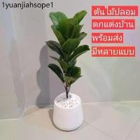 ราคา ต้นไม้ปลอม ไทรใบสัก ปลอม ต้นไม้ประดับบ้าน (1732048582621497279)