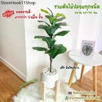 ราคา RLL ♗ต้นไม้ปลอม(ฟรี!!หินโรย) ต้นไทรใบสัก,มอนสเตอร่า ฯลฯ สูง40-78ซม. ต้นไม้มงคล พร้อมกระถางและหินสีขาว✱ (1732382776840586814)