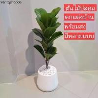 ราคา ต้นไม้ปลอม ไทรใบสัก ปลอม ต้นไม้ประดับบ้าน (1732297732962880026)