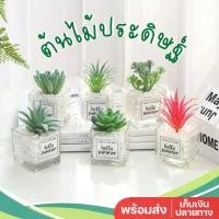 ราคา พร้อมส่ง ต้นไม้ปลอม พร้อมกระถางแก้ว ตั้งโต๊ะ กุหลาบหินปลอม ตะบองเพชรปลอม กระบองเพชรปลอม ต้นไม้ประดิษฐ์ สินค้าขายดี flowers (1731662823068371440)