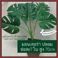 ราคา ขาย ต้นมอนสเต่อร่า ด่างขาว ต้นไม้ปลอม ไม้ใบ ตกแต่งห้อง ปรับบรรยากาศ ไม้ด่างปลอม ไม้ด่างตกแต่ง มีเก็บปลายทาง พร้อมส่ง (1729703047117048472)