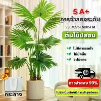 ราคา ราคาถูกที่สุด ต้นไม้ปลอม ต้นไม้พลาสติก ต้นไม้พลาสติกแต่งบ้านสไตล์โมเดิร์น แต่งห้องทำงานหรือห้างสรรพสินค้า ฟรี กระถางดอกไม้ ต้นไม้ปลอมสวยๆ ต้นไม้ปลอมใหญ่ ต้นไม้เทียม ต้นไม้มงคลสวยๆ (1732271344504768839