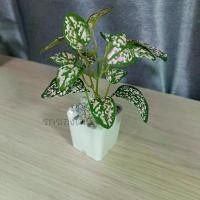 ราคา ต้นไม้ปลอม ต้นไม้มินิมอล ต้นไม้มงคล แต่งโต๊ะ แต่งห้อง ต้นไม้จิ๋ว ต้นไม้ ใน (1729605184017697602)