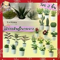 ราคา ไม้ประดิษฐ์ในกระถาง ต้นไม้ปลอม IKEA FEJKA เฟคก้า ดอกไม้ประดิษฐ์ ต้นไม้ประดิษฐ์ ต้นไม้จิ๋ว #ต้นไม้ปลอม #ikea #ต้นไม้ปลอม #fyp (1729479717027351054)