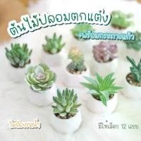 ราคา ต้นไม้ปลอม กระถางแก้ว ต้นไม้ประดิษฐ์ในกระถาง ต้นไม้ตกแต่งบ้าน พร้อมกระถาง ต้นไม้ตกแต่งห้อง (1729513271360719585)