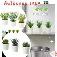 ราคา พร้อมส่งไม้ประดิษฐ์ในกระถาง ต้นไม้ปลอม IKEA FEJKA เฟคก้า ดอกไม้ประดิษฐ์ ต้นไม้ประดิษฐ์ กุหลาบหิน ต้นหญ้าปลอม (1730914757554440855)