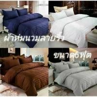 ราคา ผ้าห่มนวม ผ้าห่มลายริ้ว ผ้าห่มผืนใหญ่ขนาด6ฟุต (1729462717144075031)