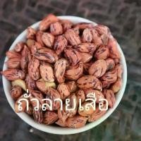 ราคา ถั่วลายเสือ ขนาด500กรัม ของฝากจากแม่ฮ่องสอน อัลมอนด์ หวาน (1729570467749595953)