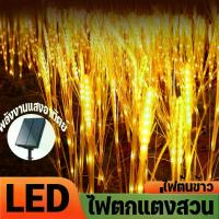 ราคา ไฟหูข้าวสาลี LED ส่องสว่าง ไฟต้นข้าว ไฟโซล่า ไฟแต่งสวน ไฟข้าว โคมไฟตั้งพื้น ไฟตกแต่งสวน (1731652568178854664)
