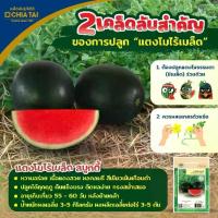 ราคา เมล็ดแตงโมไร้เมล็ด สมูทตี้ ตราเจียไต๋ เมล็ดพันธุ์แตงโมไร้เมล็ด เมล็ดพันธุ์ผัก เมล็ดผักสวนครัว เมล็ดพันธุ์แตงโม (1731841363627510341)