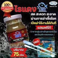 ราคา อาหารปลา ไรแดง UHT สำหรับ ปลาหางนกยูง ปลากัด ปลาสวยงาม ฟรี!! อาหารสำหรับปลาขนาดเล็กทุกชนิด และ ช้อนตัก+หลอดห (1732745775761818731)