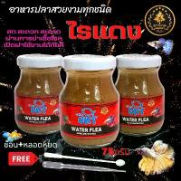 ราคา Qnlf2368Shop อาหารปลา ไรแดง UHT สำหรับ ปลาหางนกยูง ปลากัด ปลาสวยงาม ที่นิยมมากที่สุด คลังสินค้า ขายดี ขายดีประจำเดือนนี้ ขาย ร้อน แนะนำ บล็อกบัสเตอร์ สินค้าขายดี (1732797781751924444)