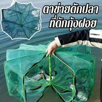 ราคา ดักปลาดักกุ้ง พับเก็บได้ 6/8/10/16 ช่อง ลอบดักปลา ลอบกุ้งฝอย ทนทาน ใช้งานง่าย ดักสัตว์น้ำขนาดเล็ก ตาข่ายดักปลา มุ้งดักกุ้ง กระชังดักปลา อาหารปลา (1732180382397007067)