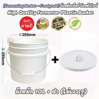 ราคา [Fermenting Bucket] ถัง Food Grade สำหรับ ดองเหล้าบ๊วย, เหล้า, วิสกี้, บรั่นดี, ดองผลไม้, Cider ต่างๆ ขนาด 10 ลิตร และ 20 ลิตร (1731525022597548121)
