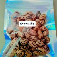 ราคา ถั่วลายเสือหรือถั่วราชินี ถั่วลิสง (1731434618164447804)