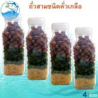 ราคา ถั่วคั่วเกลือ 3ชนิด ( ถั่วลิสง ถั่วลันเตา ถั่วเหลืองซีก ) 4ขวด 600กรัม ถั่ว ถั่วทอด ถั่วคั่ว ถั่วลิสงทอด ถั่วลันเตาทอด ของฝาก ประจวบ (1729449771737450551)