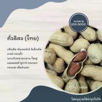 ราคา ถั่วลิสง (แบ่งขาย 200-500G.) อาหารกรีนชีค ซันคอนัวร์ อิเล็กตัส เกรย์ (1729657037165660566)