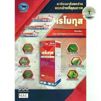 ราคา ขนาด 500 ซีซี เรโมทุส ตราด้วงกว่าง สารไดอะเฟนไทยูรอน กำจัดแมลง (1731715641511544828)