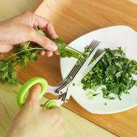 ราคา กรรไกรตัดผักชี, วัสดุสแตนเลส, เครื่องตัดห้าชั้น, เหมาะสำหรับอาหารและสาหร่าย, เครื่องทำลายเอกสาร, กระดาษหั่นฝอย, อุปกรณ์ครัวและของใช้ในครัวเรือน (1732063557265949804)