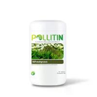 ราคา POLLITIN วีทกราส Wheatgrass ดีท็อกซ์ สารสกัดจากใบอ่อนต้นข้าวสาลี บรรจุ 50 เม็ด (1731820528619849324)