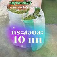 ราคา หญ้าแพงโกล่า 10 กก อาหารสัตว์เลี้ยง (ออเดอร์ละ 2 กระสอบ) (1729781609285585168)