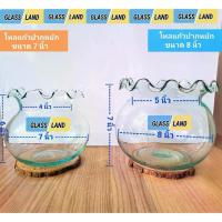 ราคา [จัดส่งทันที] โหลแก้วปากหยัก ขนาด 7 นิ้ว 8 นิ้ว โหลเลี้ยงปลาปากหยัก โหลลอดช่อง โหลเลี้ยงปลาสวยงาม โหลแก้วปากจีบ โหลใส่น้ำยำ น้ำเชื่อม โหลปลูกต้นไม้ (1732586720172409896)
