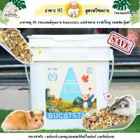 ราคา อาหารหนูแฮมสเตอร์ ไจแอนท์ ดอร์เมาส์ อาหาร H1 สูตรฟรีซดราย แบ่งจำหน่ายจากถัง 5kg. อาหารสัตว์เล็ก ขายดี (1732611425014089322)