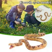 ราคา ของเล่นงูเทียม, ยางสร้างสรรค์, โมเดลของเล่นสัตว์จำลอง, ของเล่นเด็ก, งูยาง, ของเล่นเขย่า, P4R5 (1732787947628562250)