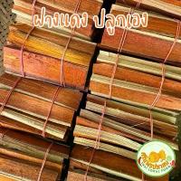 ราคา ฝางแดง (แก่นฝาง) ปลูกเองในสวน มัดใหญ่มาก สรรพคุณมากมาย ดื่มง่าย สมุนไพรไทย (1732007215313816430)