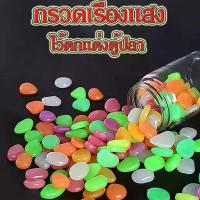 ราคา กรวดเรืองแสง 100อัน/แพ็ค หินกรวดเรืองแสง หินเรืองแสง ของตกแต่งตู้ปลา ตกแต่งพื้น หินตู้ปลา (1729768380372782031)