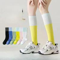 ราคา กางเกงรัดรูปกีฬา สำหรับผู้หญิง ระบบแรงดันข้อเข่า น้ำหนักเบา เหมาะสำหรับฤดูร้อน วิ่ง เทรล ปั่นจักรยาน ยกน้ำหนัก! (1731219371505518435)